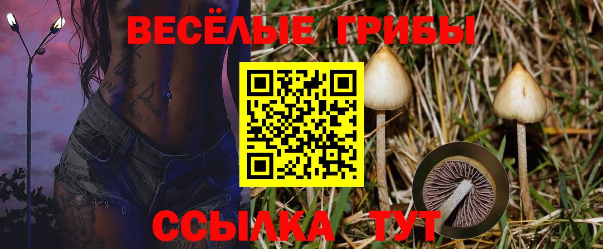 Cocaine  Лсд 25  A PVP СК кристаллы  Керчь  Канабис  Вход с VPN  ГАШИШ  Меф МЯУ МЯУ  