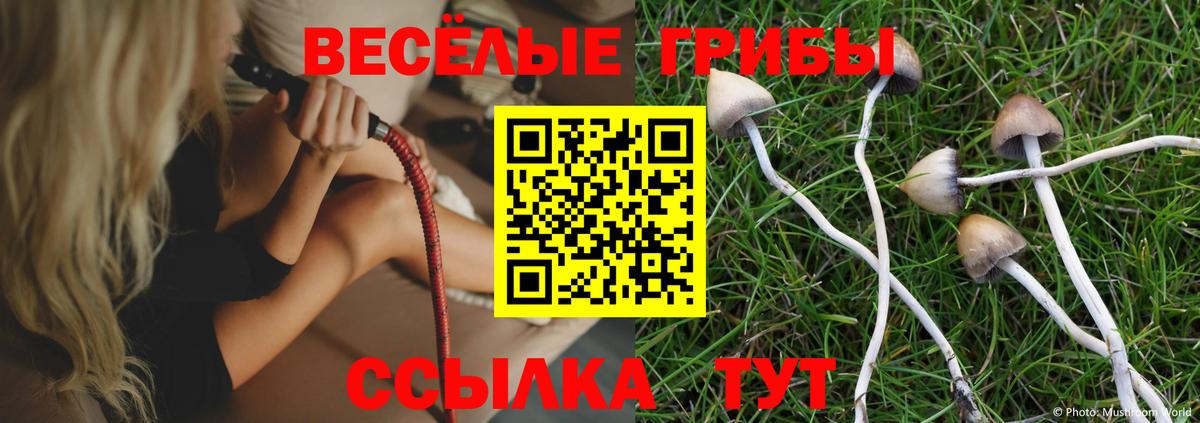 где купить наркоту  Псилоцибиновые грибы Psilocybine cubensis  Вход с VPN  Керчь 