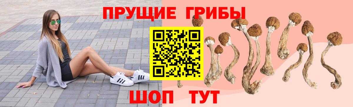 Галлюциногенные грибы Cubensis Керчь